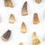 Mosasaurus Tooth | Conscious Craft
