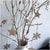 Star Tag, Natural | Conscious Craft