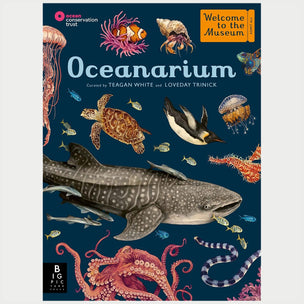 Oceanarium | Welcome to the Museum | Conscious Craft