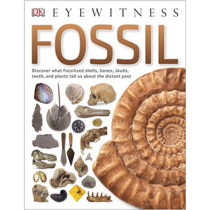 DK Eyewitness | Fossil | Conscious Craft