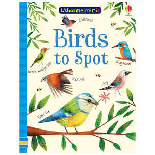 Birds to Spot | Usborne Minis | Conscious Craft