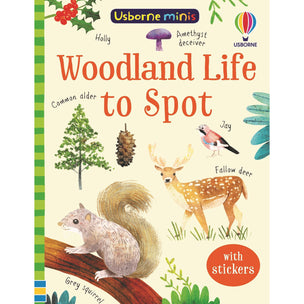Woodland Life to Spot | Usborne Minis