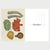 Animalium Postcards | Conscious Craft