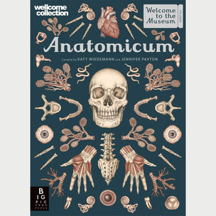 Anatomicum | Conscious Craft