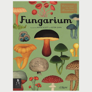 Fungarium | Conscious Craft