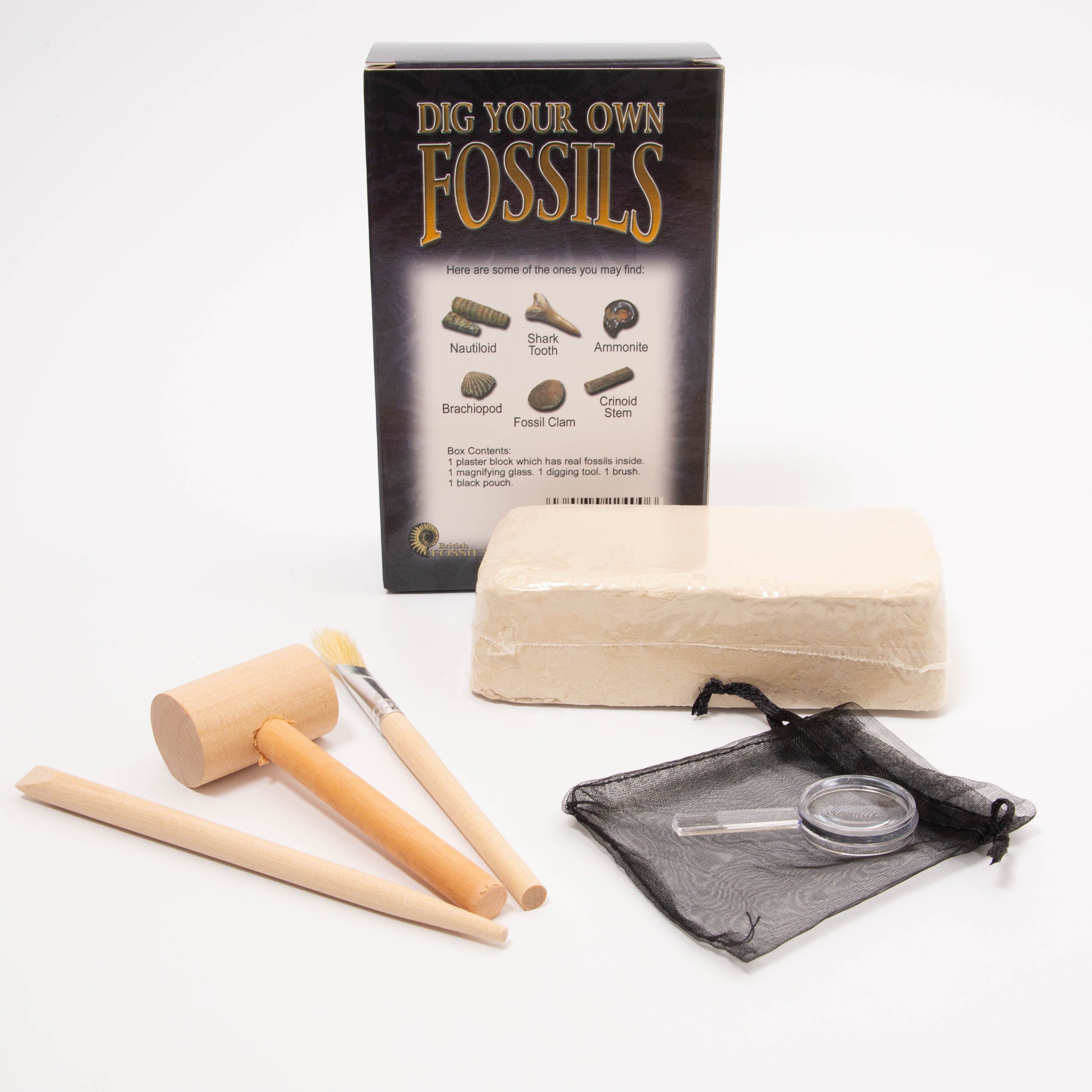 Dig Your Own Fossils | Conscious Craft