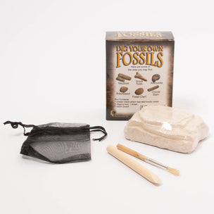 Dig Your Own Fossils | Conscious Craft