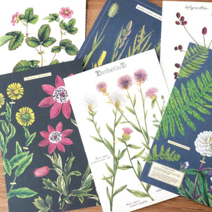Cavallini | Herbarium Postcards | Conscious Craft