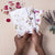 Crafters Flower Paper Kit | Conscious Craft