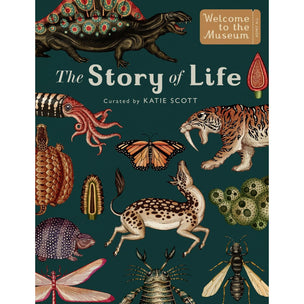 The Story Of Life Evolution | Conscious Craft