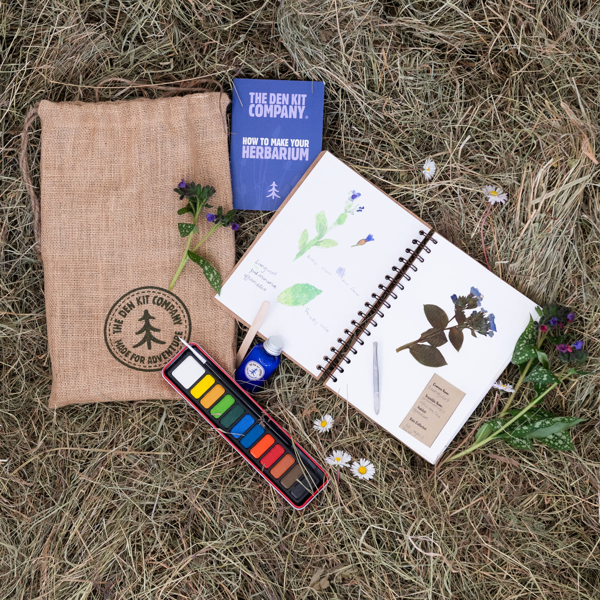 Herbarium Kit from The Den Kit Company Conscious Craft