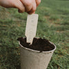 Gigantic Sunflowers | Conscious Craft