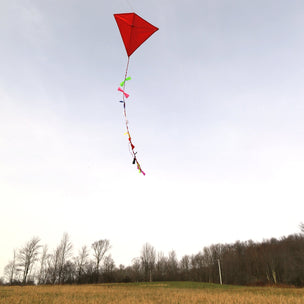 Red Kite | Conscious Craft