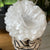 Tissue Paper Flowers | White | Conscious Craft