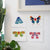Lola Art Kit | Beautiful Bugs | Conscious Craft