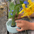 Kikkerland | Make Your Garden | ©Conscious Craft