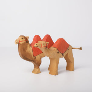 Ostheimer | Dromedary and Camel | © Conscious Crafts