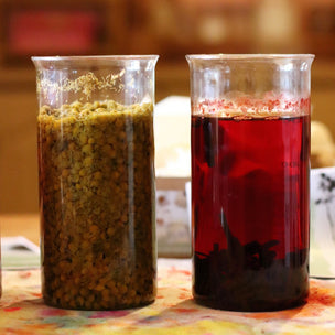 Natural Dying Beginners Kit | Conscious Craft