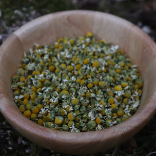 Natural Dying Beginners Kit | Conscious Craft