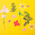 Pressed Flower Set | Pink Violet
