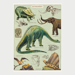 Dinosaurs | Poster | Conscious Craft