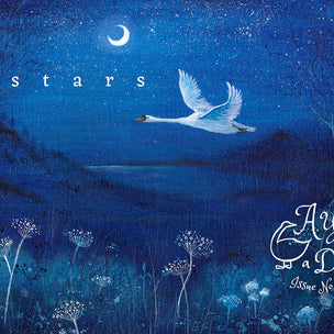 A Year & a Day © Issue No 4: Stars | Conscious Craft