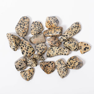 Dalmatian Jasper | Tumbled Stones | ©Conscious Craft