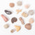 Fossil Collection Kit | ©Conscious Craft