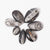 Orthoceras Nautiloid Fossils | ©Conscious Craft