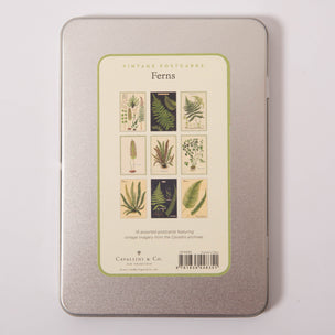 Cavallini Ferns Postcards | Conscious Craft