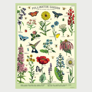 Cavallini Pollinators | Wrap | Conscious Craft