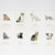 Cat and Kittens Memory Game | Conscious Craft