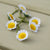 Daisy Chain | Conscious Craft