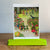 Postcard Holder | Rainbow | ©Conscious Craft