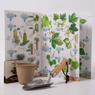 The Den Kit Company | Plant A Tree Kit | Conscious Craft