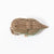 EUGY | Crocodile | ©Conscious Craft