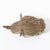 EUGY Rhino | ©Conscious Craft