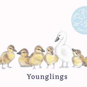Picture of Duck with 7 ducklings from front cover of A Year And a Day Magazine