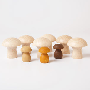 Grapat 6 Natural Mushrooms with Mandala Mushrooms | Conscious Craft ©
