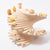 Grapat Petals Platform with Wild & Wonders  | © Conscious Craft