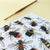 Bees of Britain | Postcard | Conscious Craft