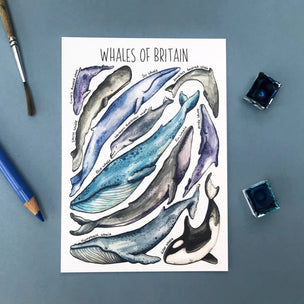 Whales of Britain Postcard | Conscious Craft