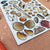 Seashells of Britain | Conscious Craft
