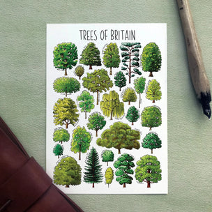 Alexia Claire | Trees of Britain | Postcard | Conscious Craft