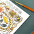 Alexia Claire | Rockpools of Britain | Postcard | Conscious Craft