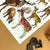 Alexia Claire | Deers of Britain | Postcard | Conscious Craft