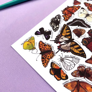 Butterflies of Britain | Postcard | Conscious Craft