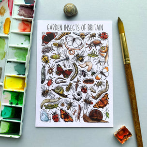 Alexia Claire | Garden Insects of Britain | Postcard | Conscious Craft