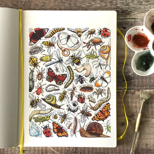 Alexia Claire | Garden Insects of Britain | Postcard | Conscious Craft