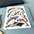 Alexia Claire | Dolphins of Britain | Postcard | Conscious Craft